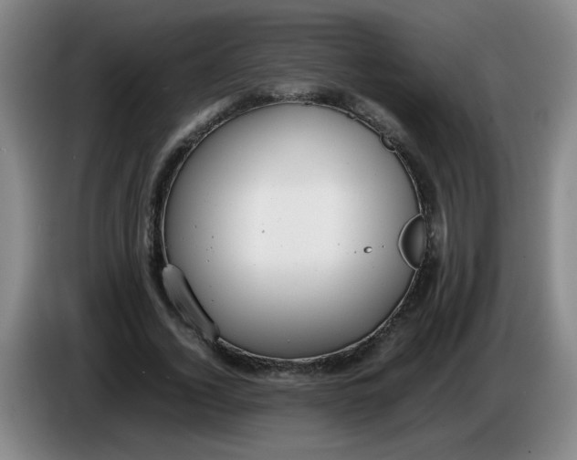 X0000085210732200703301641