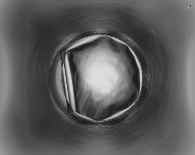 X0000085210734200703301641