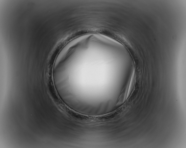 X0000085210736200703301641