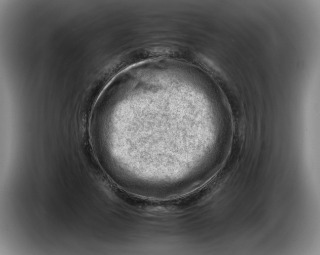 X0000085210737200703301641