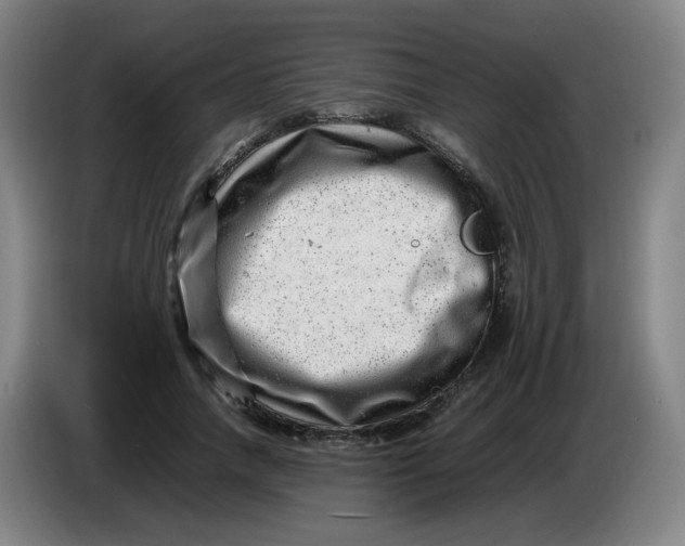 X0000085210738200703301641