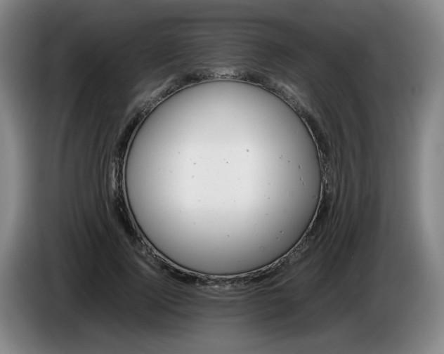 X0000085210740200703301641