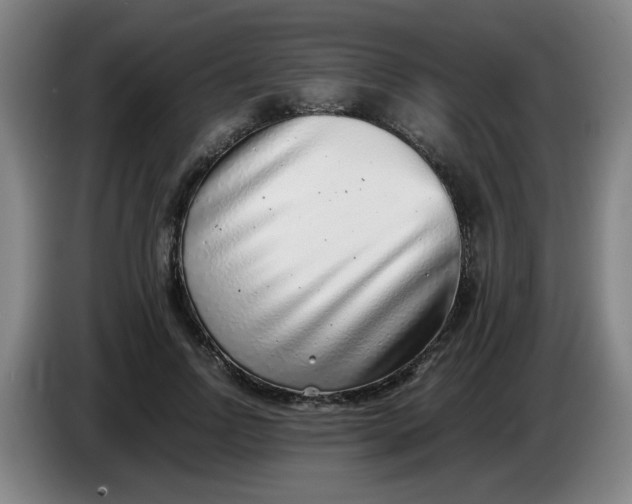 X0000085210742200703301641