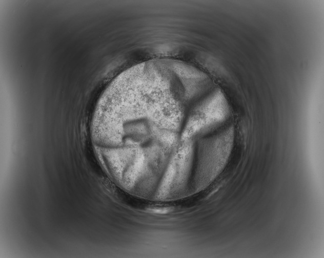 X0000085210746200703301641