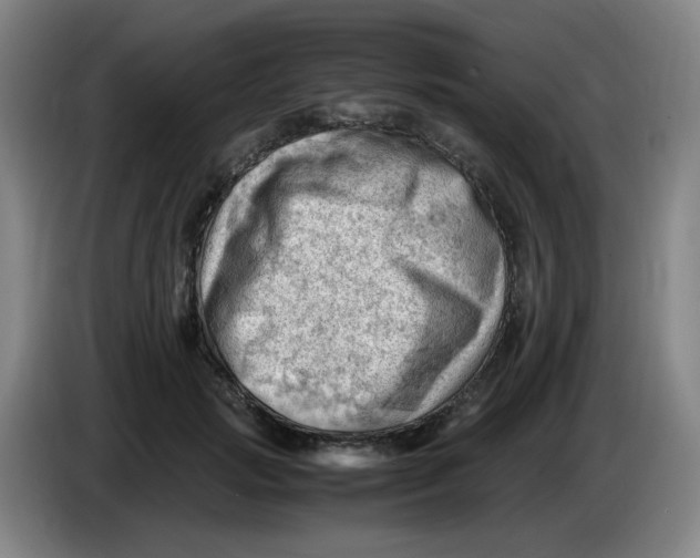 X0000085210749200703301641