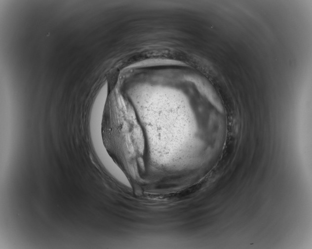 X0000085210753200703301641