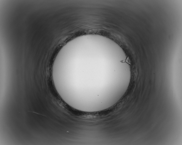 X0000085210756200703301641