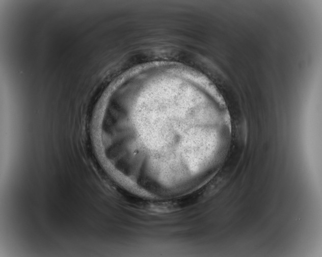 X0000085210757200703301641