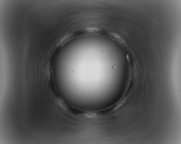 X0000085210762200703301641