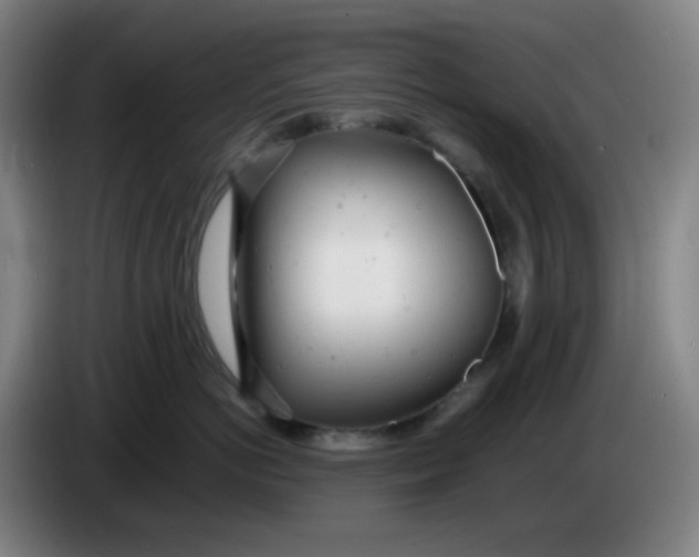 X0000085210766200703301641