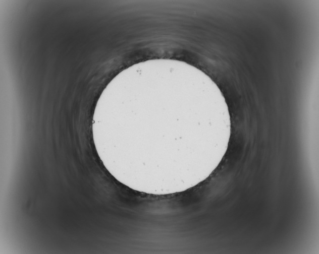 X0000085210769200703301641