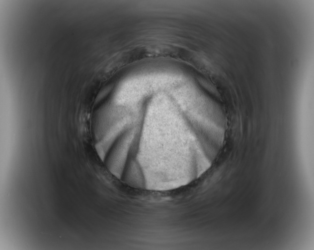 X0000085210770200703301641