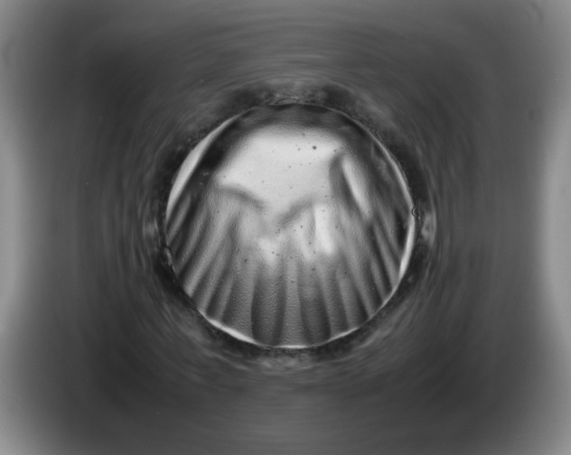 X0000085210771200703301641