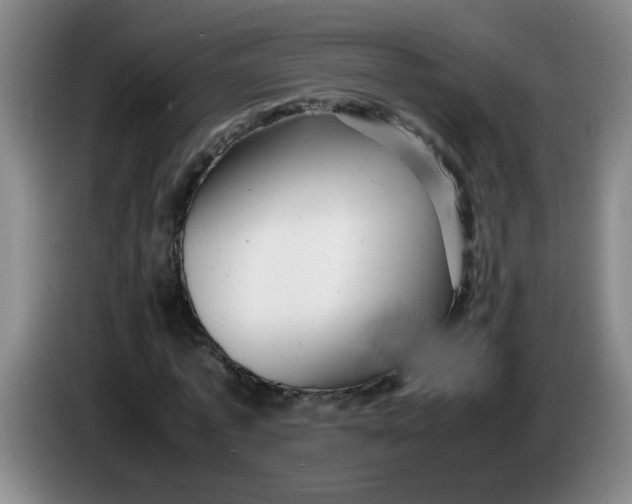 X0000085210773200703301641