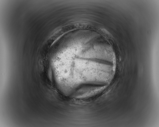 X0000085210774200703301641