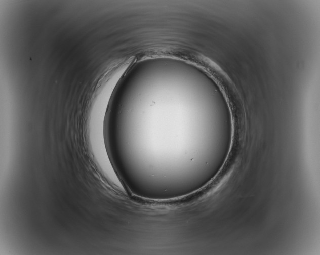 X0000085210777200703301641