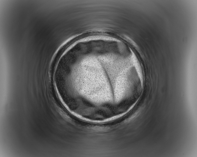 X0000085210779200703301641