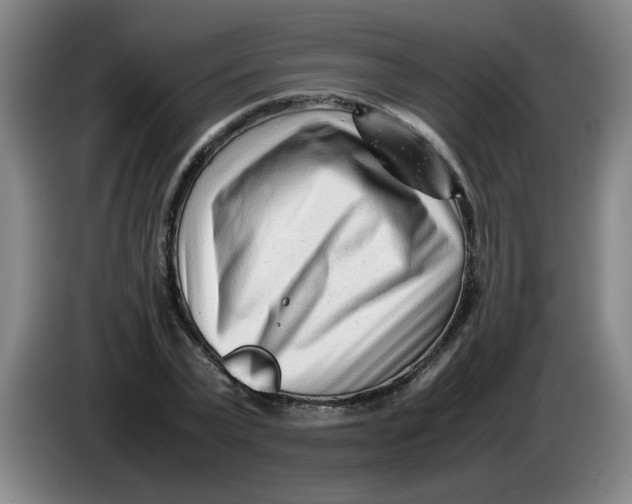 X0000085210783200703301641