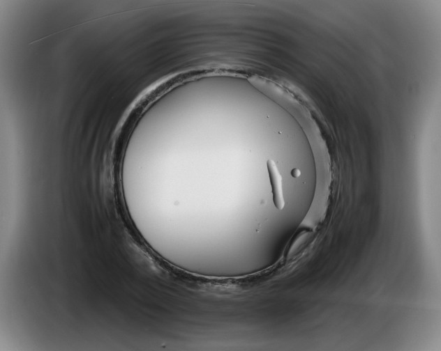 X0000085210784200703301641