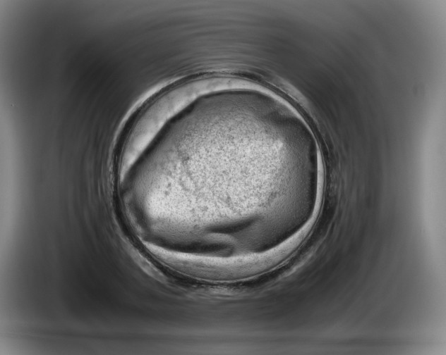 X0000085210787200703301641