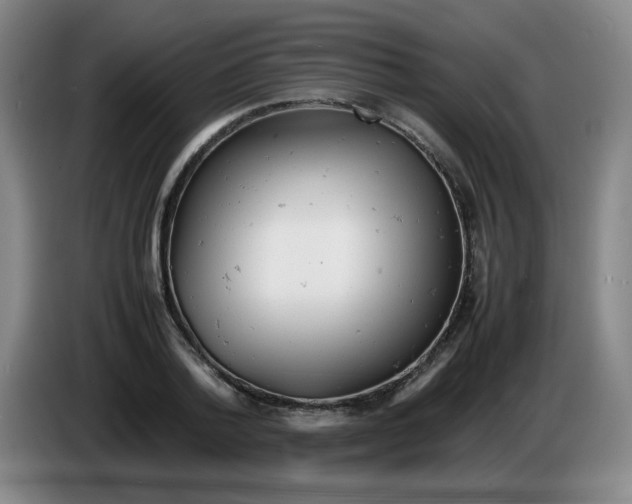 X0000085210788200703301641