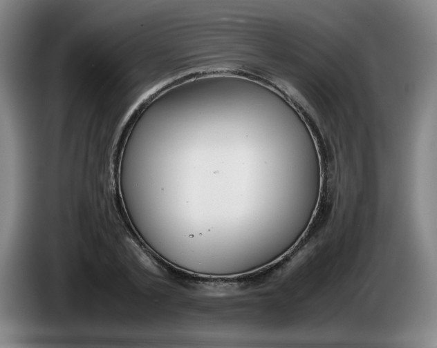 X0000085210789200703301641