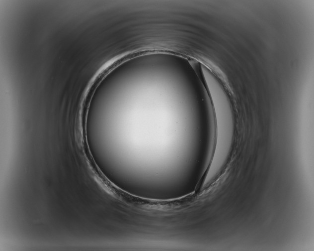 X0000085210792200703301641