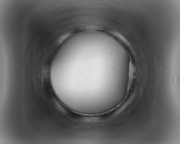 X0000085210793200703301640