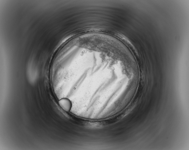 X0000085210794200703301640