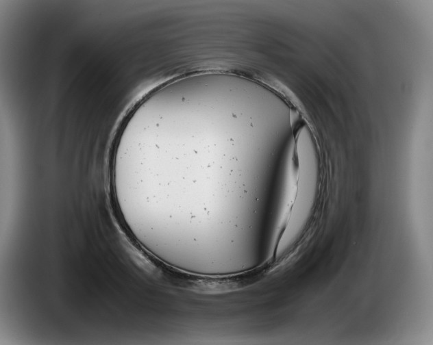 X0000085210795200703301640