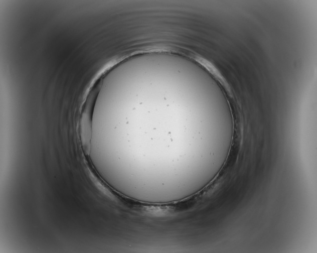 X0000085210805200703301640