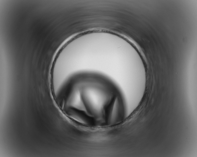 X0000085210807200703301640