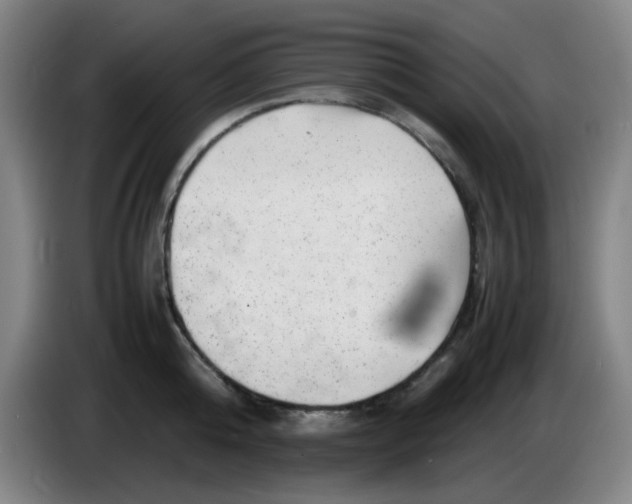 X0000085210808200703301640