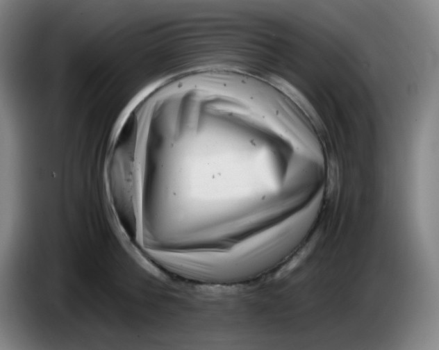 X0000085210812200703301640