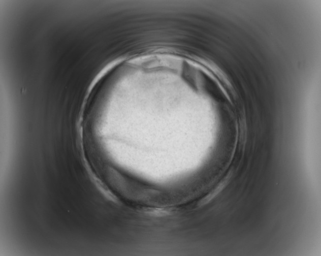 X0000085210814200703301640