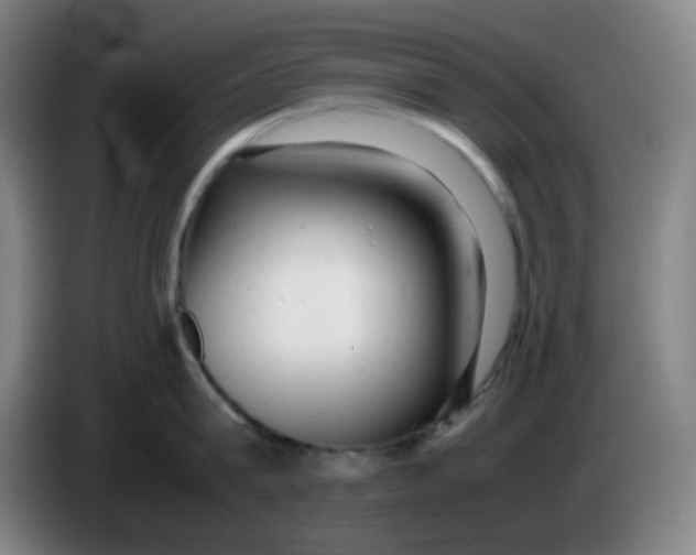 X0000085210815200703301640