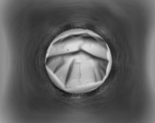 X0000085210817200703301639