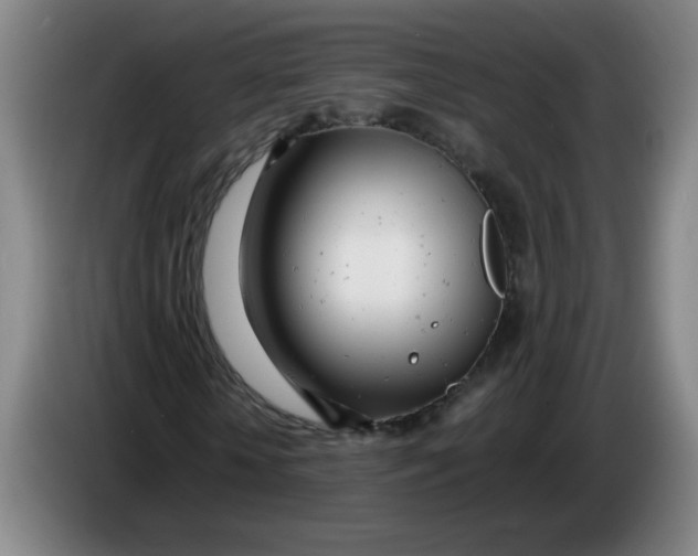 X0000085210818200703301639