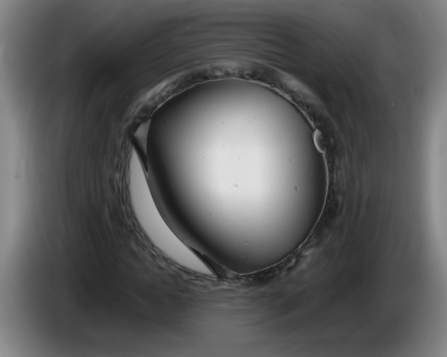 X0000085210822200703301639