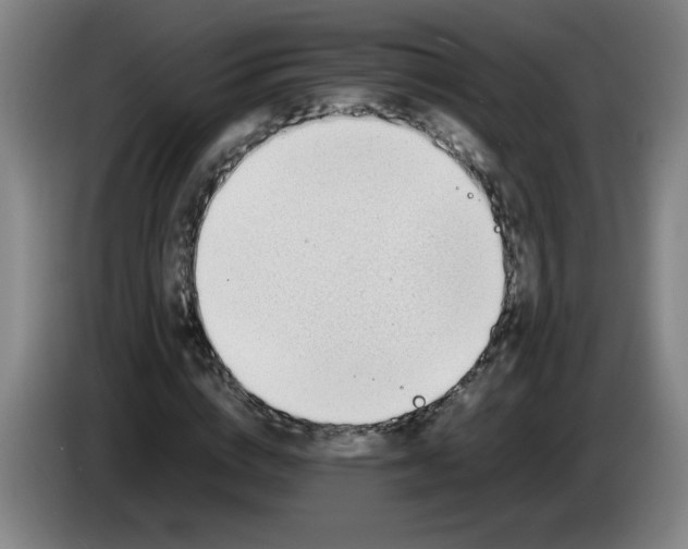 X0000085210824200703301640