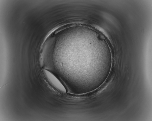 X0000085210829200703301640