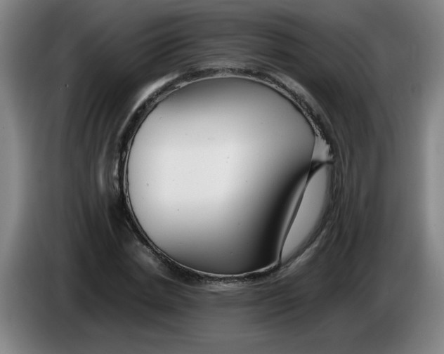 X0000085210830200703301640