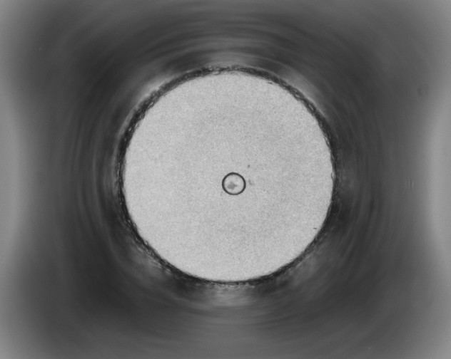 X0000085210832200703301640