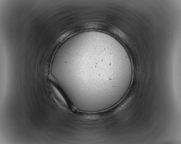 X0000085210833200703301640