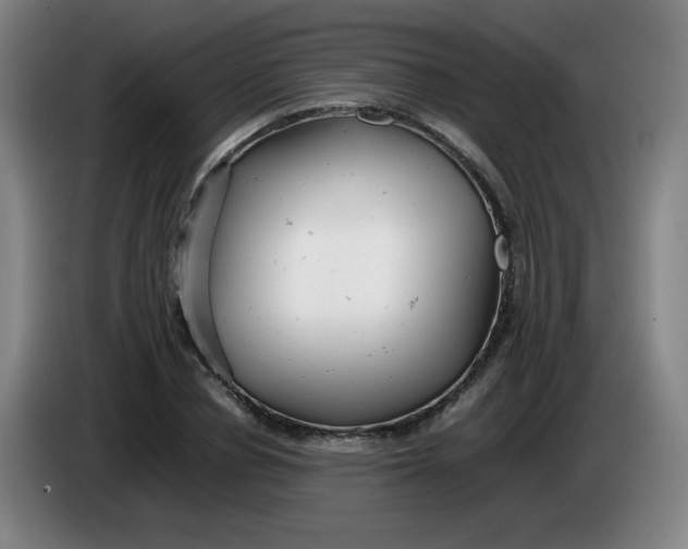 X0000085210834200703301640