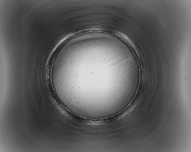 X0000085210835200703301640