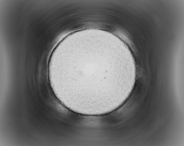 X0000085210836200703301640