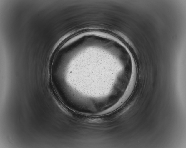 X0000085210837200703301640