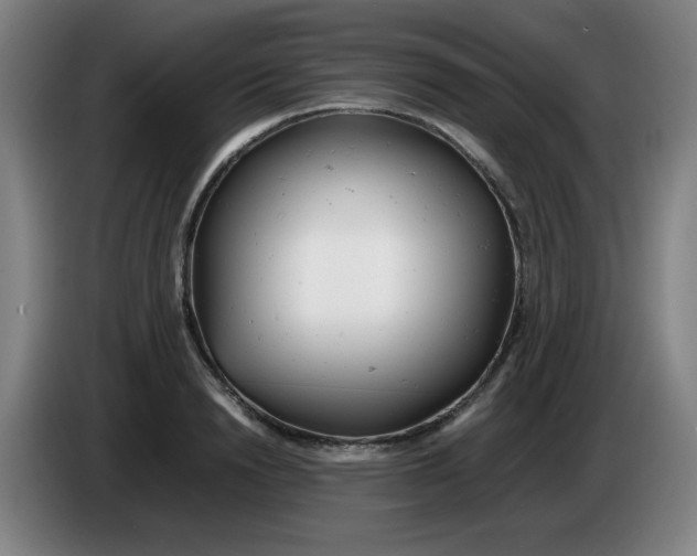 X0000085210846200703301640