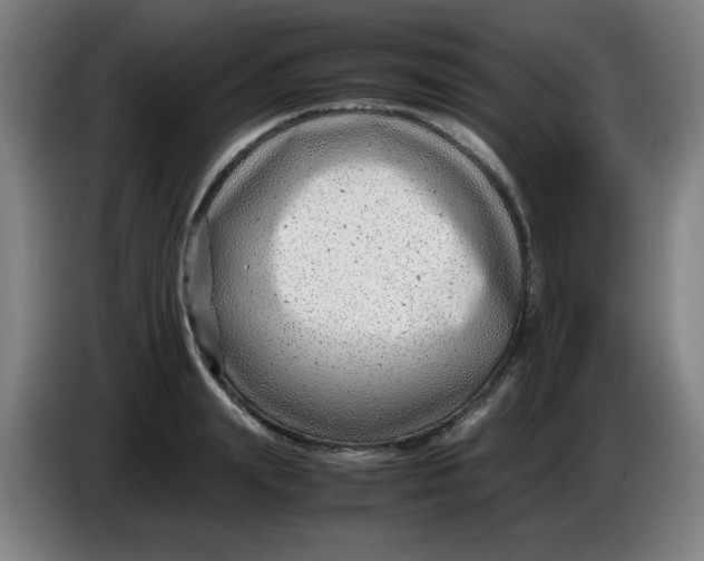 X0000085210847200703301640